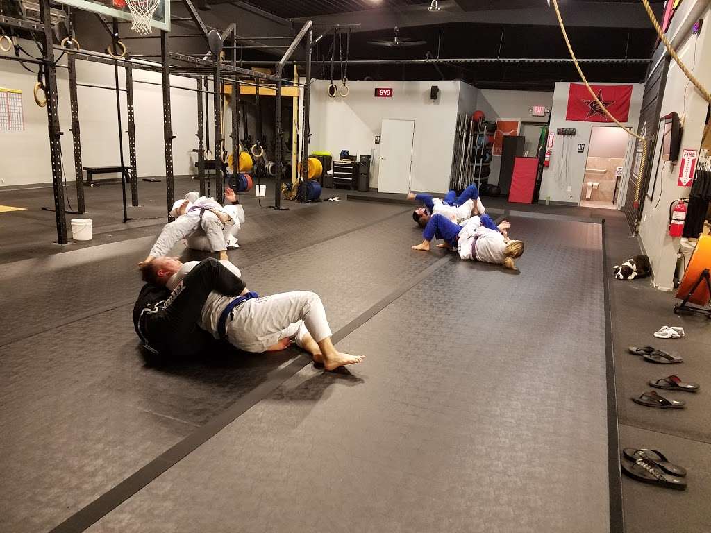 Rogue Jiu-Jitsu Studio | 801 Patriot Way, Flower Mound, TX 75028, USA | Phone: (214) 585-3865