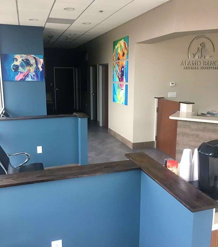 Alamo Ranch Animal Hospital | 6820 Alamo Pkwy #118, San Antonio, TX 78253, USA | Phone: (210) 538-7484