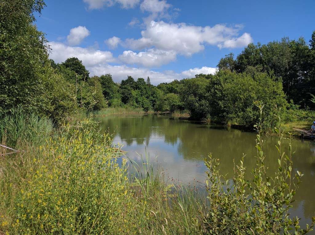 Shorne Woods Country Park | Brewers Rd, Shorne, Gravesend DA12 3HX, UK | Phone: 0300 041 4747