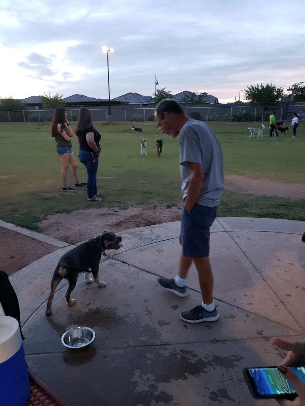 Pioneer Community Dog Park | 8755 N 83rd Ave, Peoria, AZ 85345, USA | Phone: (623) 773-7137