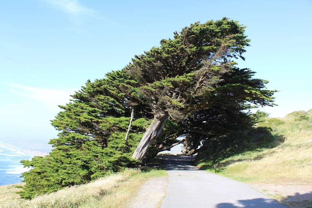 Lighthouse Visitor Center | Lighthouse Visitor Center, 27000 Sir Francis Drake Blvd, Inverness, CA 94937, USA | Phone: (415) 669-1534