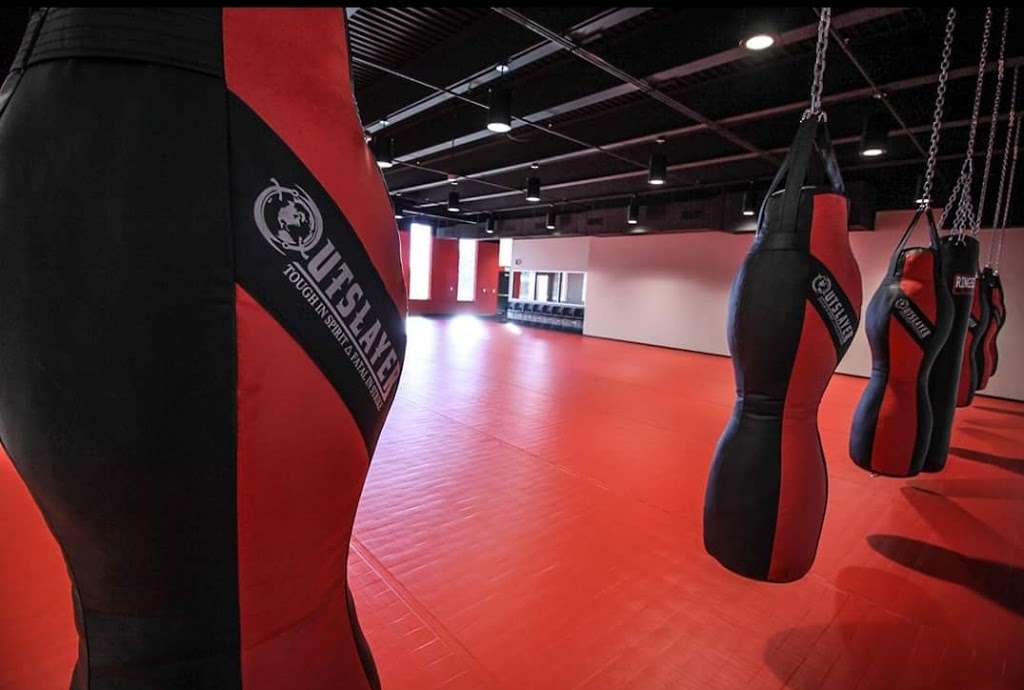 Rogue Jiu-Jitsu Studio | 801 Patriot Way, Flower Mound, TX 75028, USA | Phone: (214) 585-3865