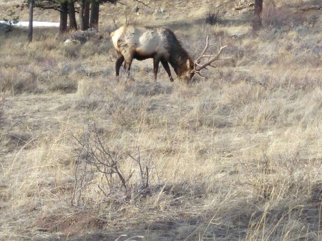 Rocky Mountain Title | 455 E Wonder View Ave # 2B, Estes Park, CO 80517, USA | Phone: (970) 577-1511