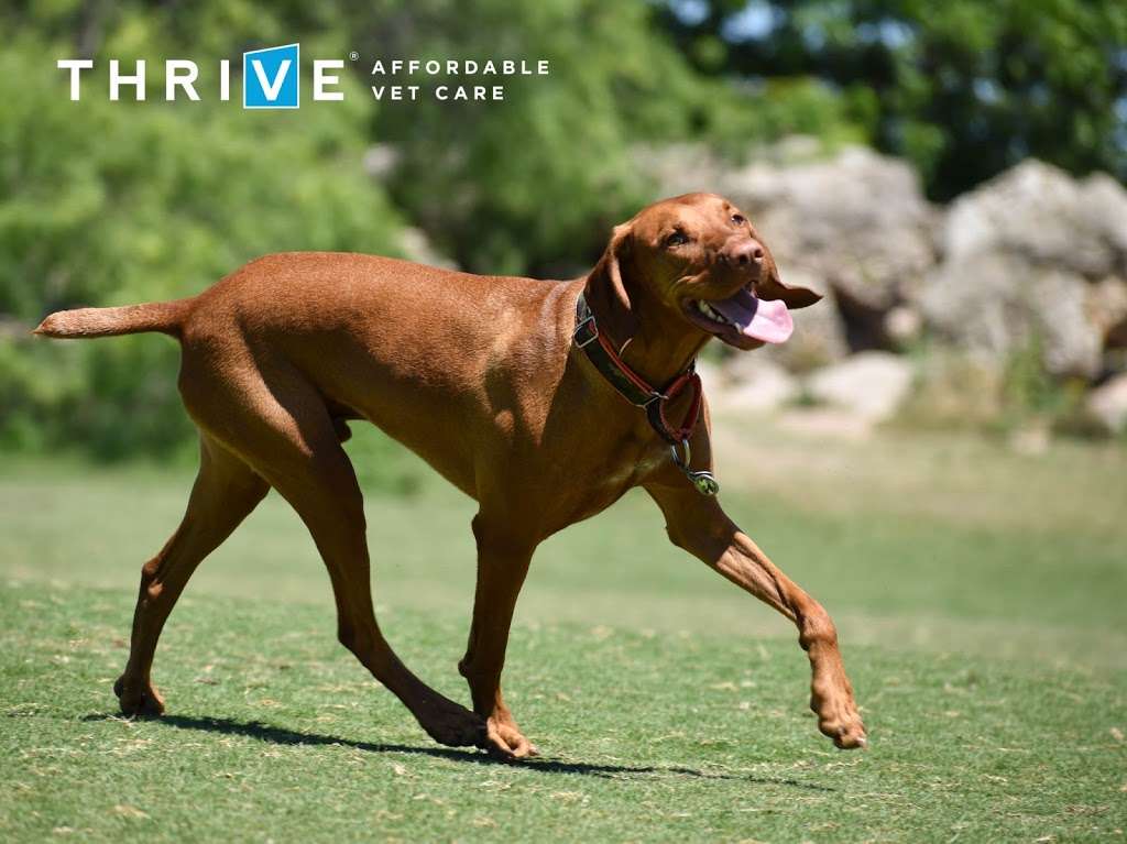 THRIVE Affordable Vet Care | 10245 North Fwy Suite 150, Houston, TX 77037, USA | Phone: (832) 648-2875