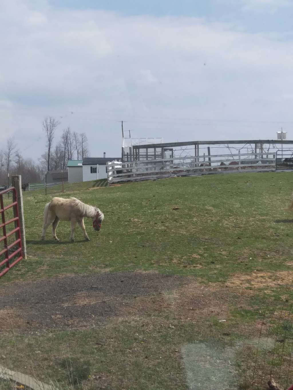 Amish Farm | 27630 Westham Ln, Mechanicsville, MD 20659, USA