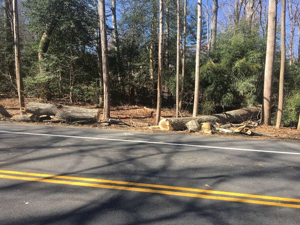 Walker Nature Center Campfire Ring | The Turquoise Trail, Reston, VA 20191, USA