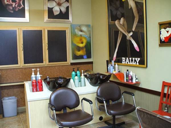 The Art of Hair Salon | 4050 Brookside Ave, St Louis Park, MN 55416, USA | Phone: (952) 224-8080