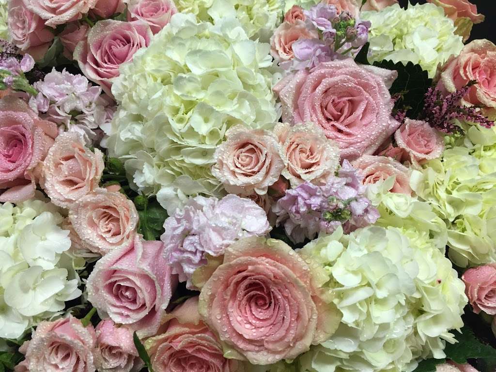 Marivels Florist & Gifts, LLC | 409 Mercer St, Hightstown, NJ 08520, USA | Phone: (609) 448-3636