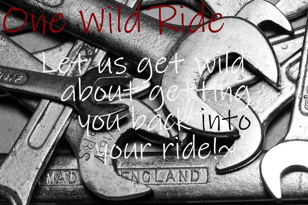 One Wild Ride AZ | 6876 W Darrel Rd, Laveen Village, AZ 85339, USA | Phone: (602) 349-3954