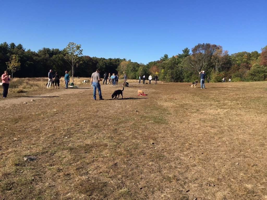 Sheepfold Dog Park | Fells Path, Stoneham, MA 02180, USA | Phone: (617) 727-1199 ext. 406