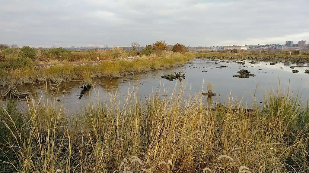 Mill Creek Marsh Trail | Mill Creek Marsh Trail, Secaucus, NJ 07094, USA