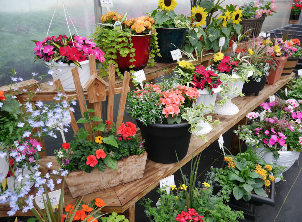 Serenity Ridge Greenhouse | 160 Bethany Rd, Ephrata, PA 17522, USA | Phone: (717) 859-6594