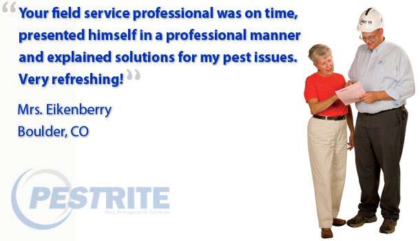 PESTRITE Pest Management | 33924 Winter Way, Windsor, CO 80550, USA | Phone: (970) 599-7311