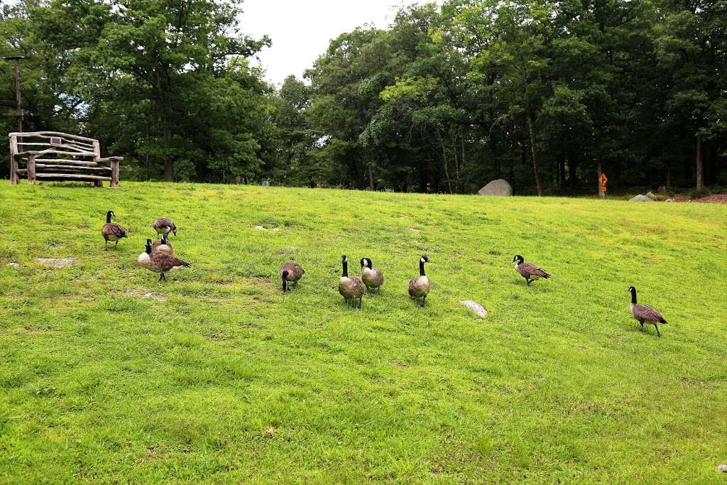 Kanawauke Picnic Area | Kanawauke Rd, Bear Mountain, NY 10911, USA | Phone: (845) 670-0138