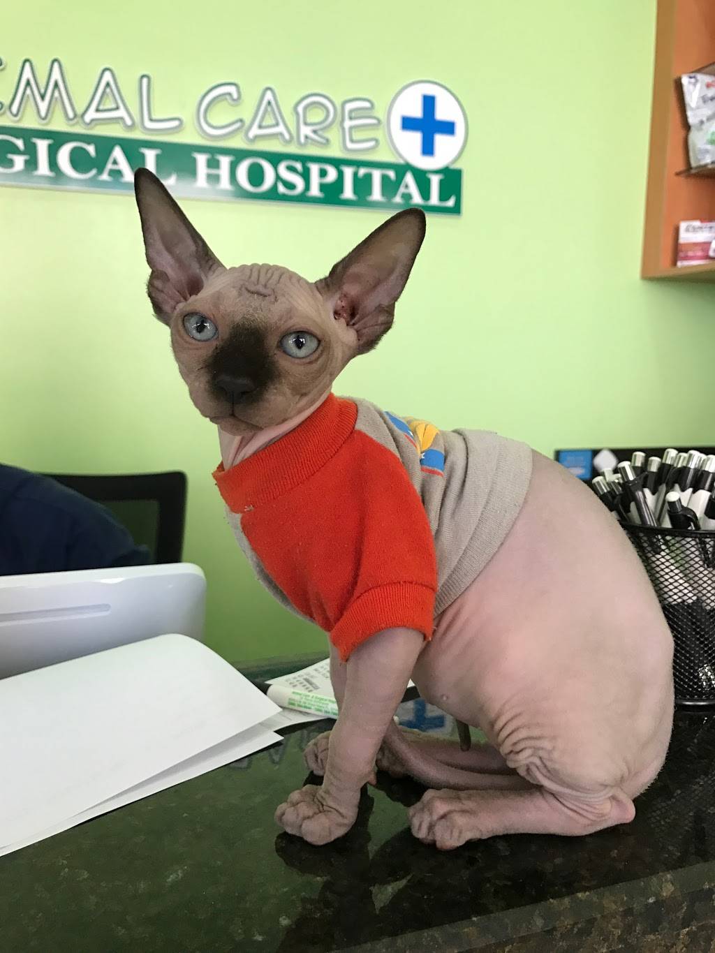 Animal Care and Surgical Hospital | 8376 SW 8th St, Miami, FL 33144, USA | Phone: (305) 264-8644