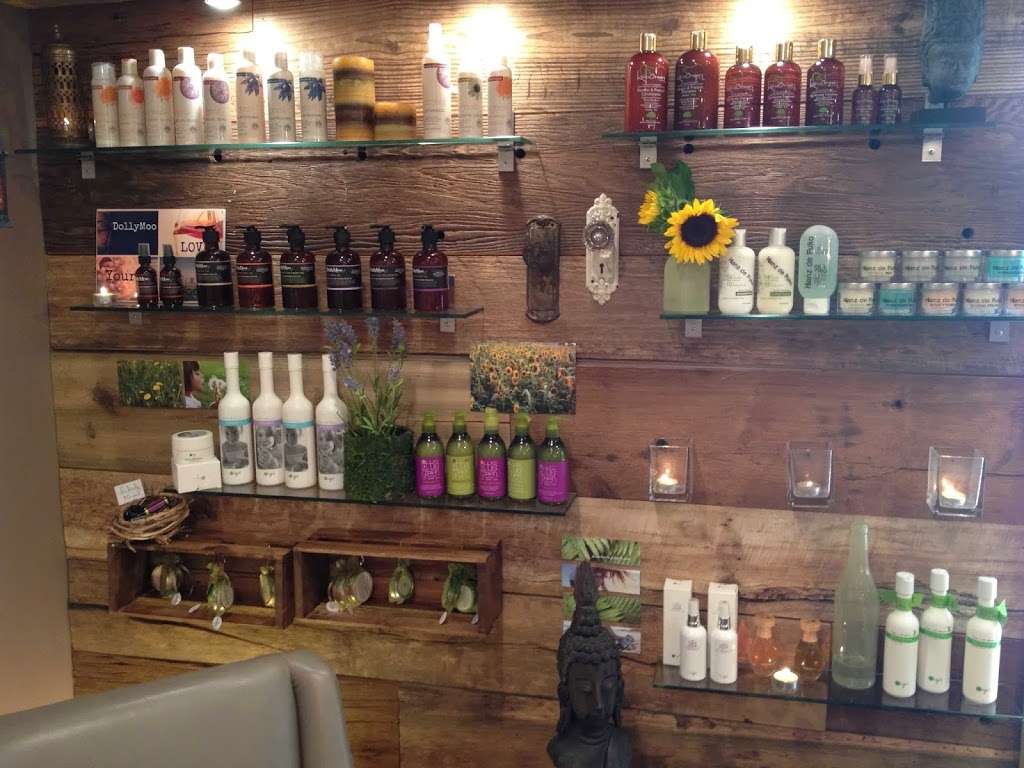 The B Hive Organic Salon | 269 Broadway, Hillsdale, NJ 07642, USA | Phone: (201) 470-4483