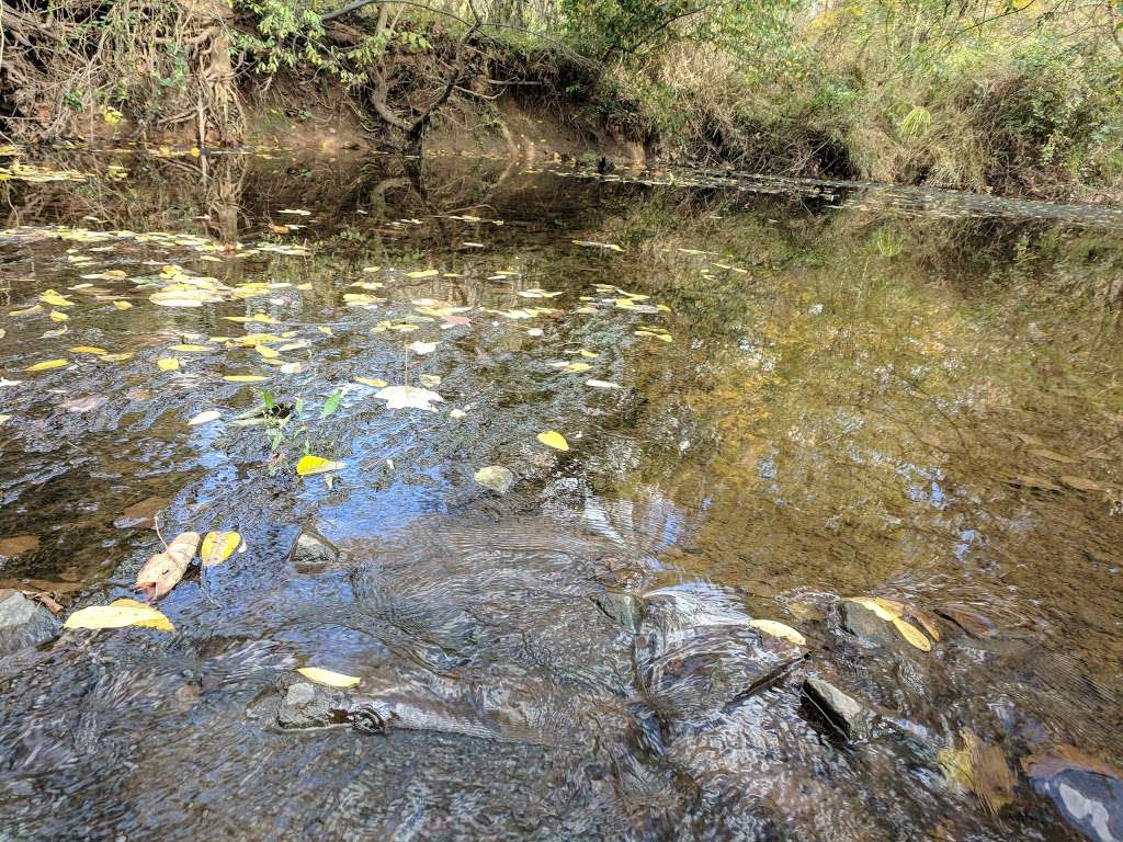 Horsepen Run Stream Valley Park | Herndon, VA 20171, USA