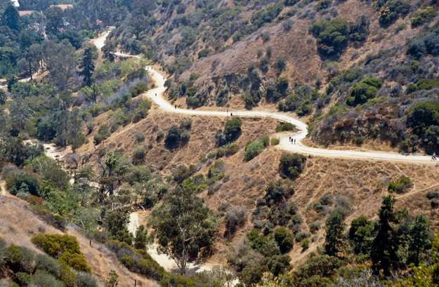 Runyon Canyon Park | 2000 N Fuller Ave, Los Angeles, CA 90046, USA | Phone: (818) 243-1145