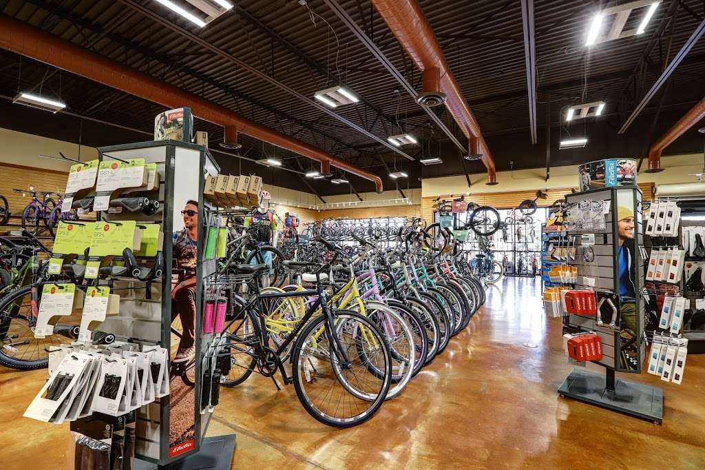 Landis Cyclery | 1006 E Warner Rd #106, Tempe, AZ 85284, USA | Phone: (480) 730-1081