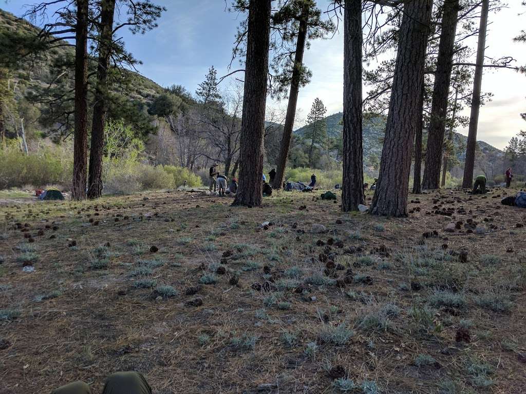 Holcomb Crossing Group Campground | Green Valley Lake, CA 92341, USA