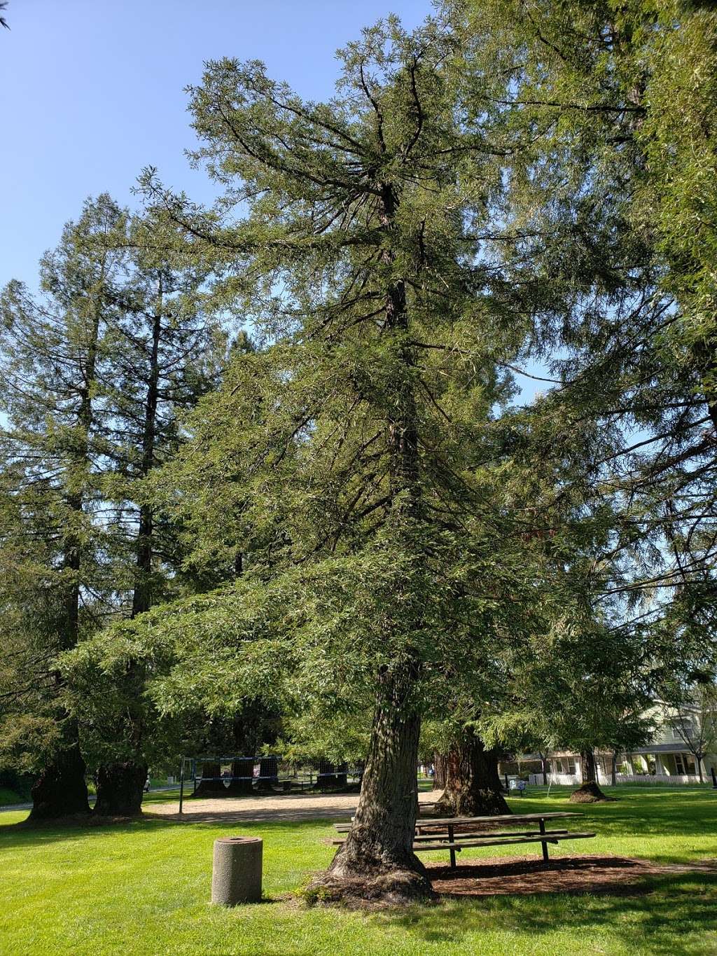 Cotati Veterans memorial building | 8505 Park Ave, Cotati, CA 94931, USA