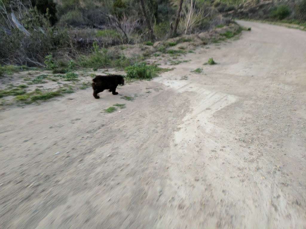 Las Llajas Canyon Trail | 5715 Evening Sky Dr, Simi Valley, CA 93063, USA | Phone: (805) 584-4400