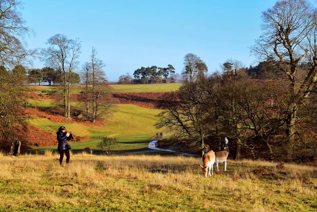 Knole Park Pedestrian Entrance Alpha | Unnamed Road, Sevenoaks TN15 0HU, UK