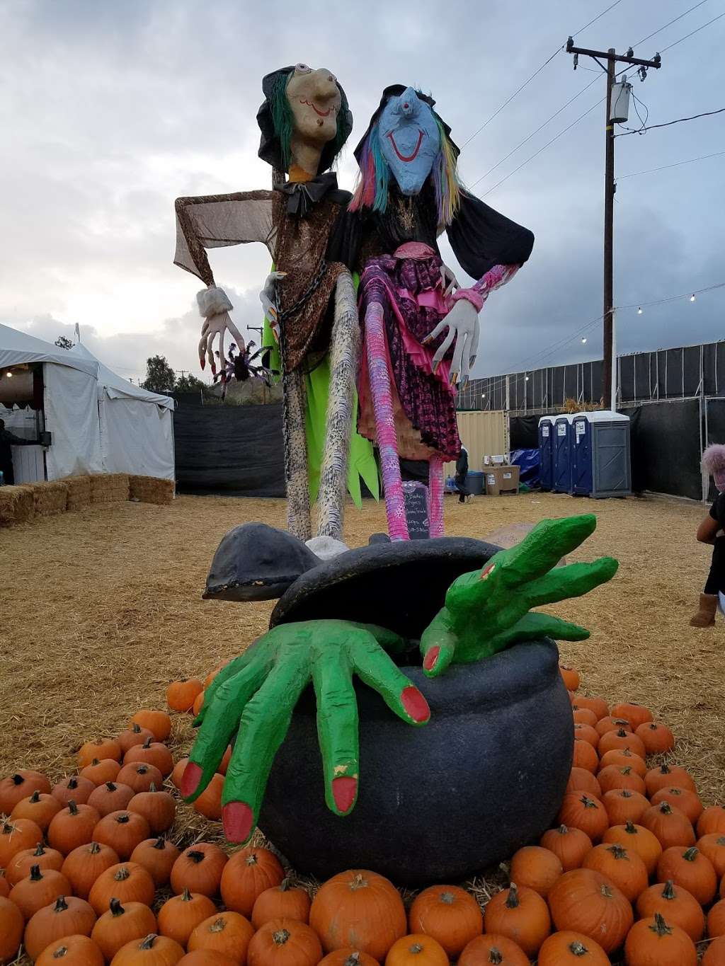 Mr. Bones Pumpkin Patch | 10100 Jefferson Blvd, Culver City, CA 90232, USA | Phone: (310) 276-9827