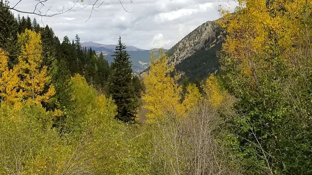 Silverdale Trailhead | 1967 Guanella Pass Rd, Georgetown, CO 80444, USA