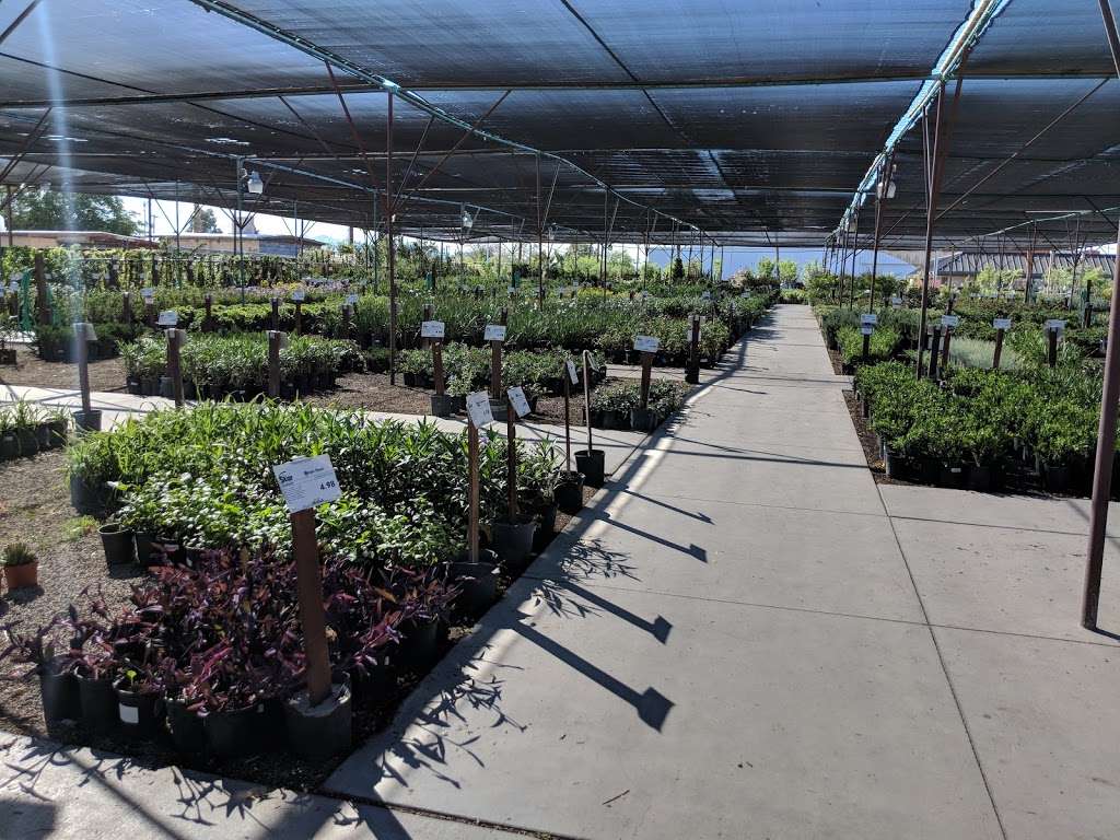 Star Nursery Inc | 6008, 5340 Boulder Hwy, Las Vegas, NV 89122, USA | Phone: (702) 435-7827