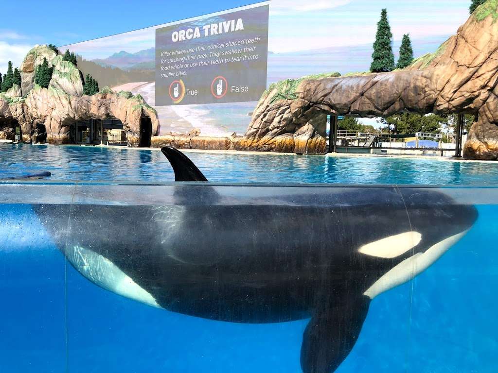 SeaWorld Marina | 1660 S Shores Rd, San Diego, CA 92109, USA | Phone: (619) 226-3910