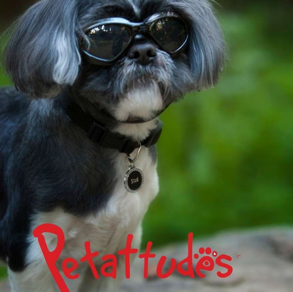 Petattudesllc | 10811 Sevenhills Dr, Tujunga, CA 91042, USA | Phone: (818) 296-5174