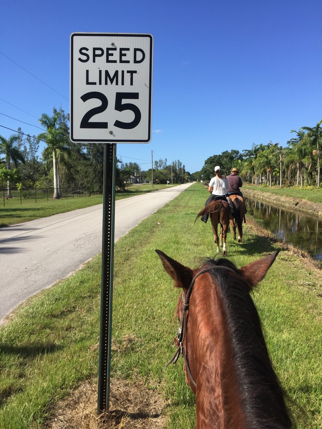 A&A Adventure Horse Trail Rides | Call for reservation, Office only, 2764 SW 83rd Ave, Miramar, FL 33025, USA | Phone: (954) 816-2685