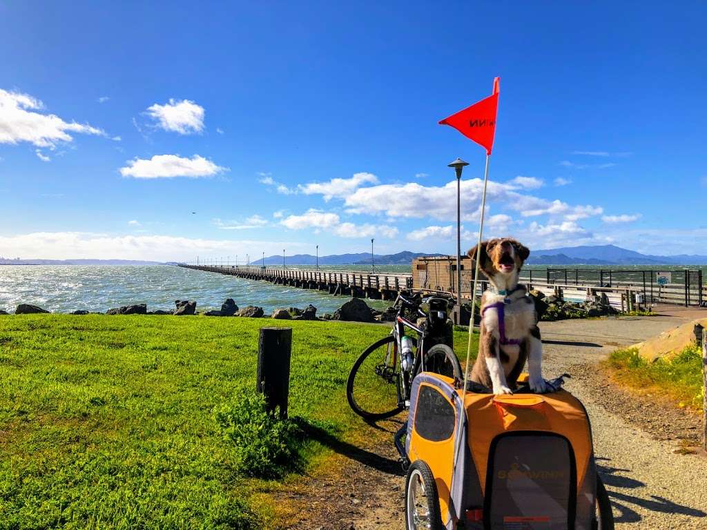 Shorebird Park Nature Center | 160 University Ave, Berkeley, CA 94710, USA | Phone: (510) 981-6720