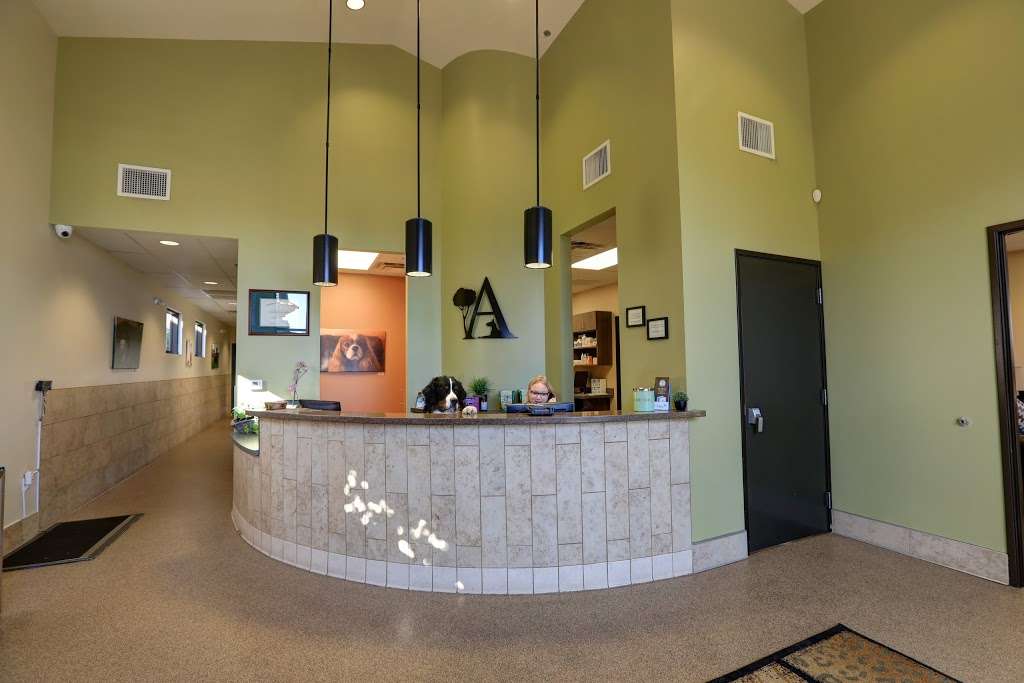 Applewood Animal Hospital | 6909 E Lincoln Dr, Paradise Valley, AZ 85253, USA | Phone: (480) 448-9060