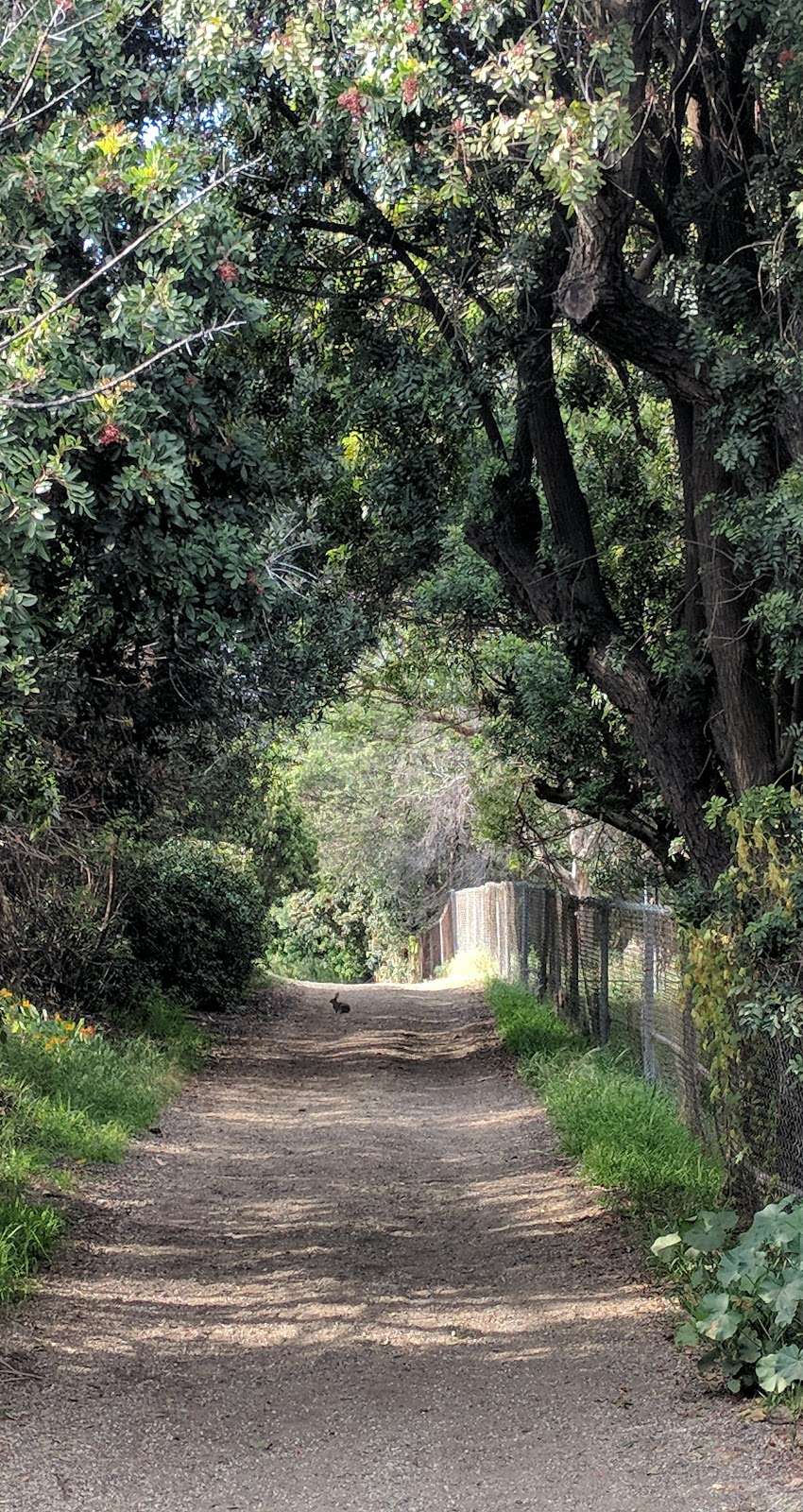 Landfill Loop | Rolling Hills Estates, CA 90274, USA