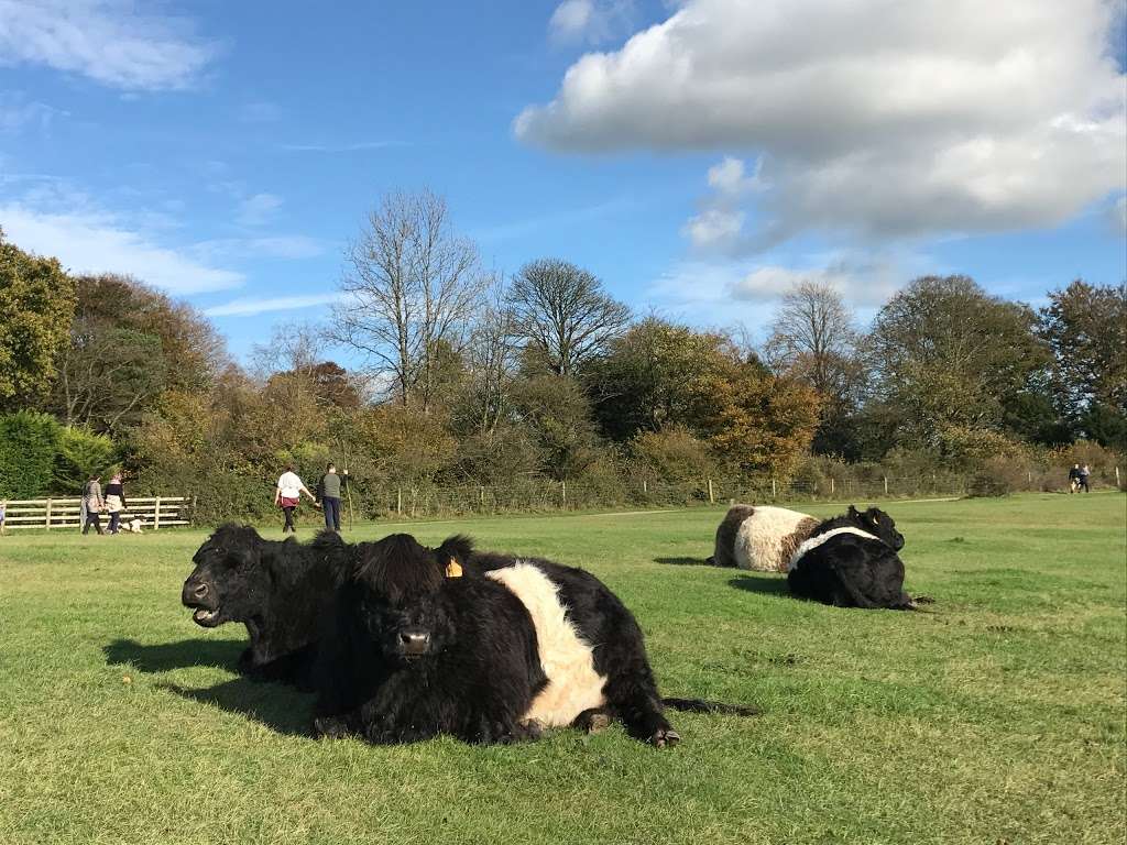 National Trust - Reigate Hill and Gatton Park | Wray Ln, Reigate RH2 0HX, UK | Phone: 01372 220640