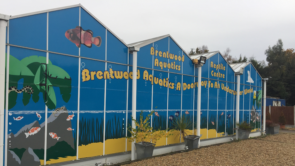 BRENTWOOD AQUATICS | Ongar Rd, Kelvedon Hatch, Brentwood CM15 0JX, UK | Phone: 01277 295488