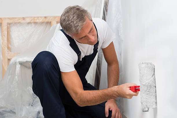 POZ House Painters Ridgewood | 48-01 Metropolitan Ave, Flushing, NY 11385, USA | Phone: (347) 482-2401