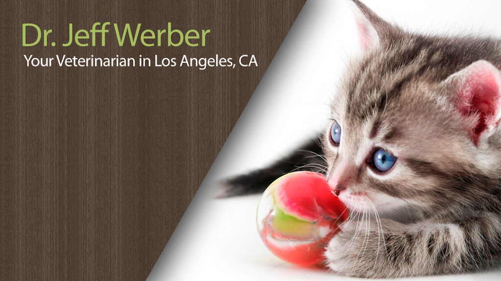 Dr. Jeff Werber | 8750 Venice Blvd, Los Angeles, CA 90034, USA | Phone: (310) 559-2500