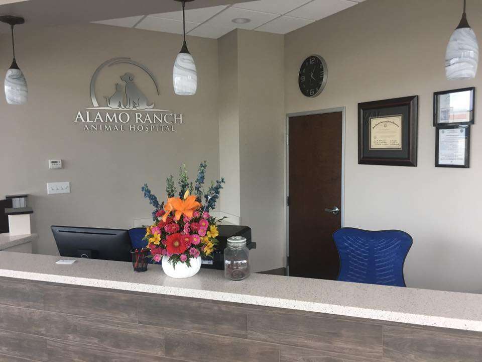 Alamo Ranch Animal Hospital | 6820 Alamo Pkwy #118, San Antonio, TX 78253, USA | Phone: (210) 538-7484