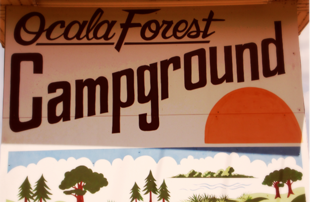 Ocala Forest Campground | 26301 SE Hwy 42, Umatilla, FL 32784, USA | Phone: (352) 669-3888