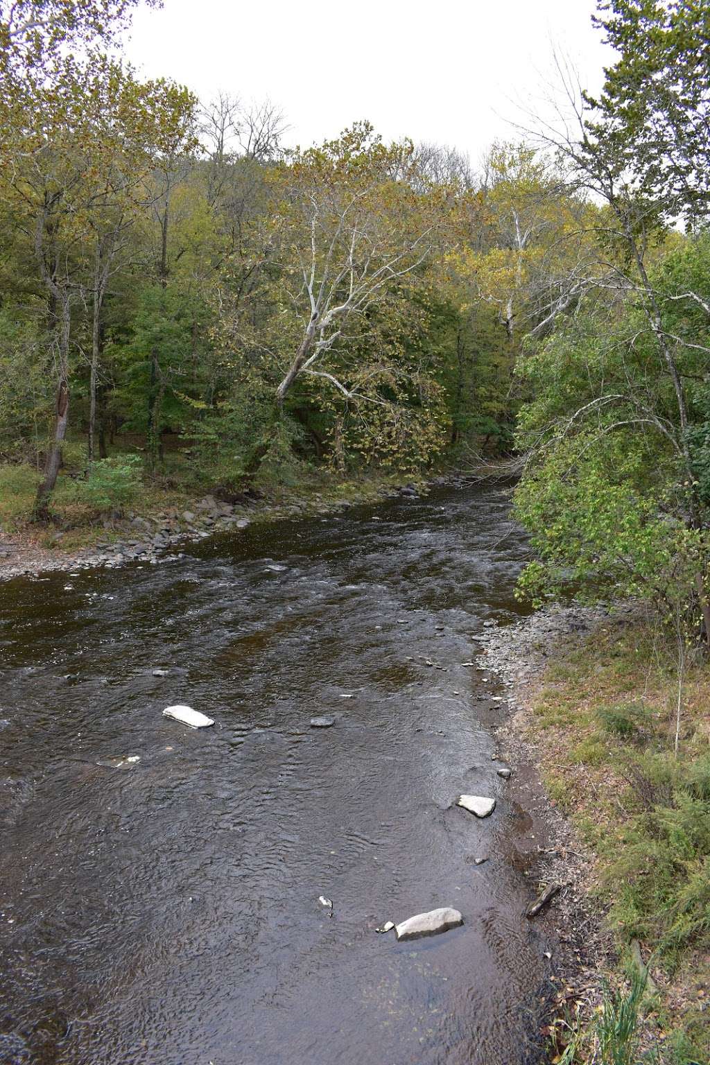 The Tohickon Creek At the Point Pleasant Bridge | River Rd, Pipersville, PA 18947, USA