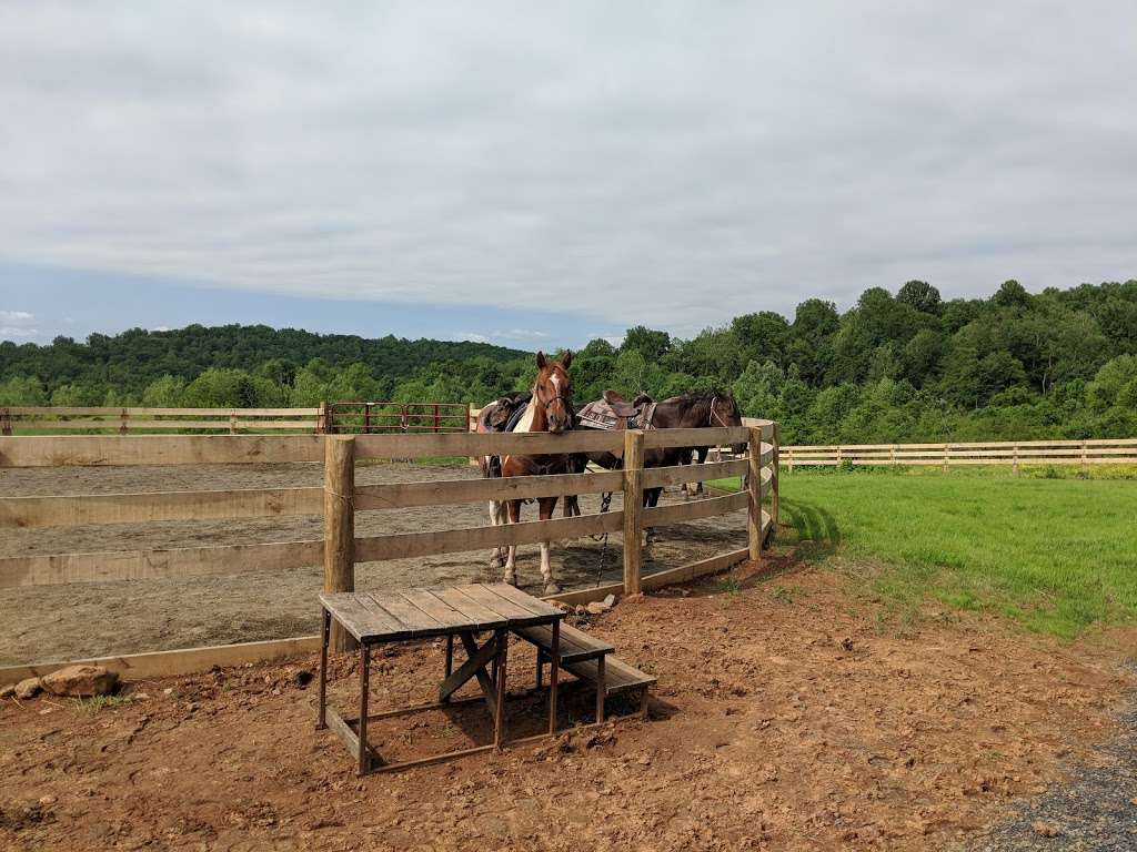 Marriott Ranch Trail Rides | 4439 Fiery Run Rd, Linden, VA 22642, USA | Phone: (540) 364-3741