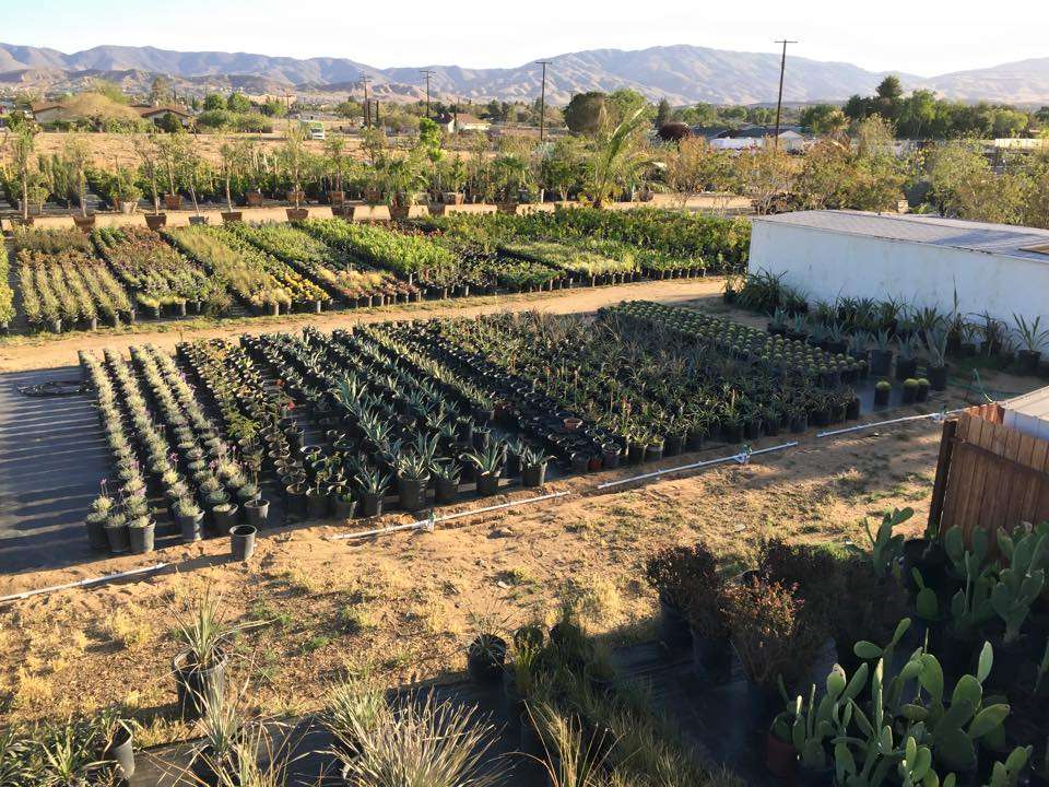 GreenBrush Nursery | 40529 12th St W, Palmdale, CA 93551, USA | Phone: (661) 266-9137