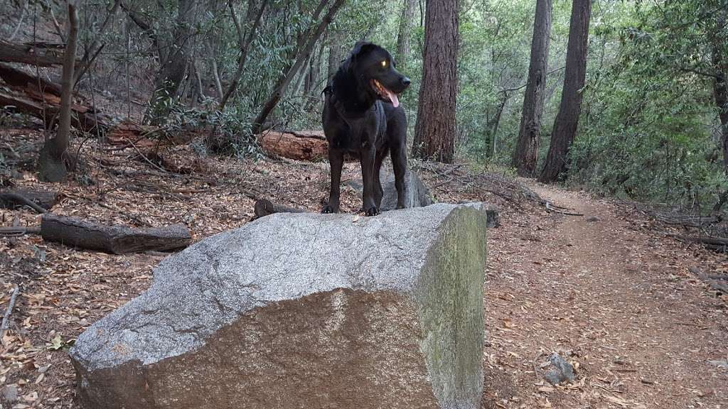 Winter Creek Trail | Winter Creek Trail, Sierra Madre, CA 91024, USA