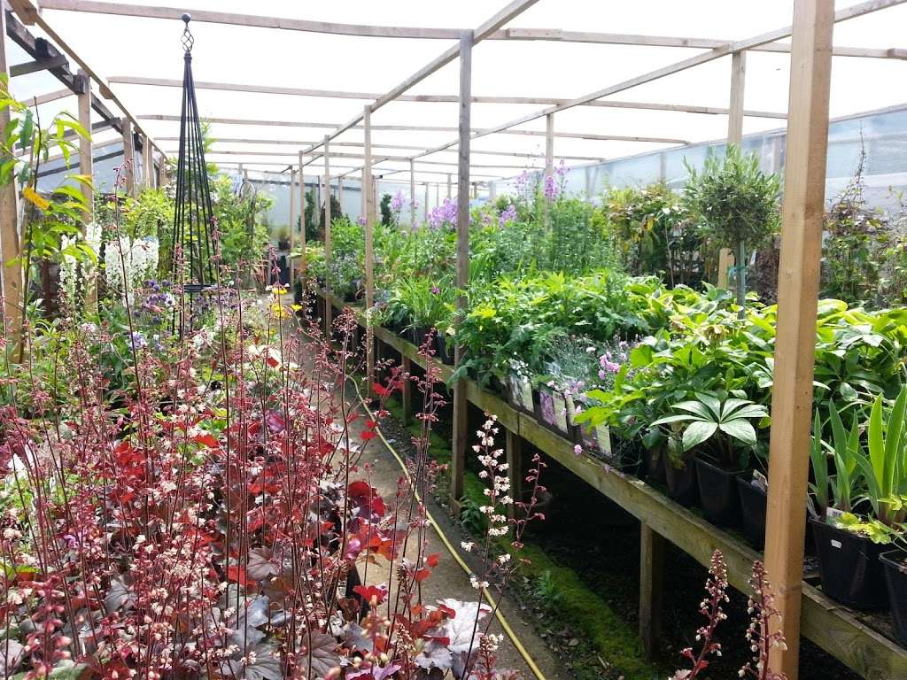 Top Pots | The Nursery, Westmill Farm, Ware SG12 0ES, UK | Phone: 01920 465026