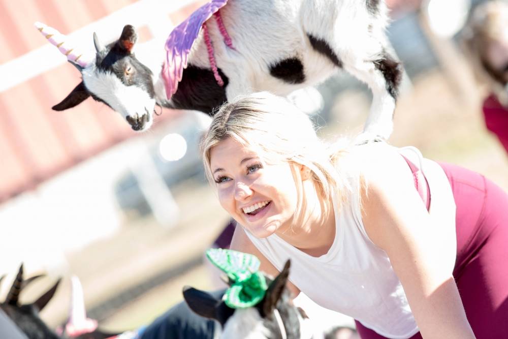 Goat Yoga | #Goat Yoga, 26601 S Val Vista Dr, Gilbert, AZ 85298, USA | Phone: (480) 269-4144