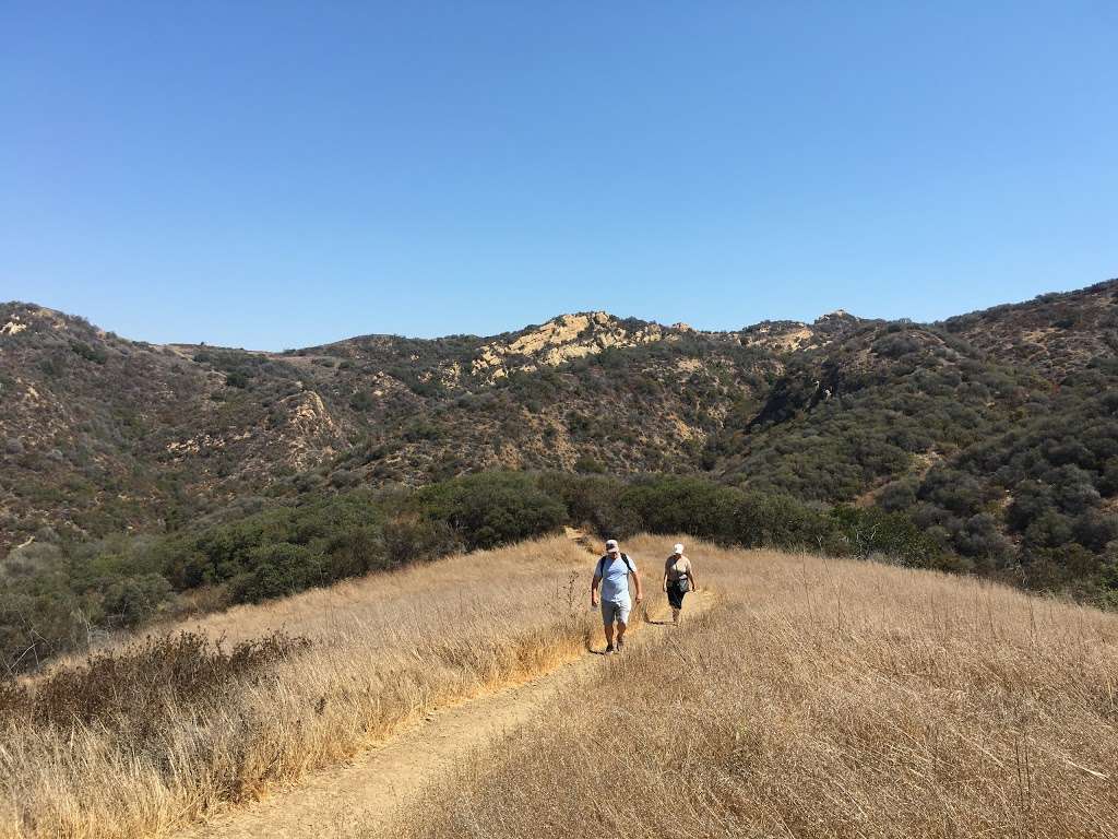 Musch Hike In Camp | Topanga, CA 90290, USA | Phone: (310) 455-2465