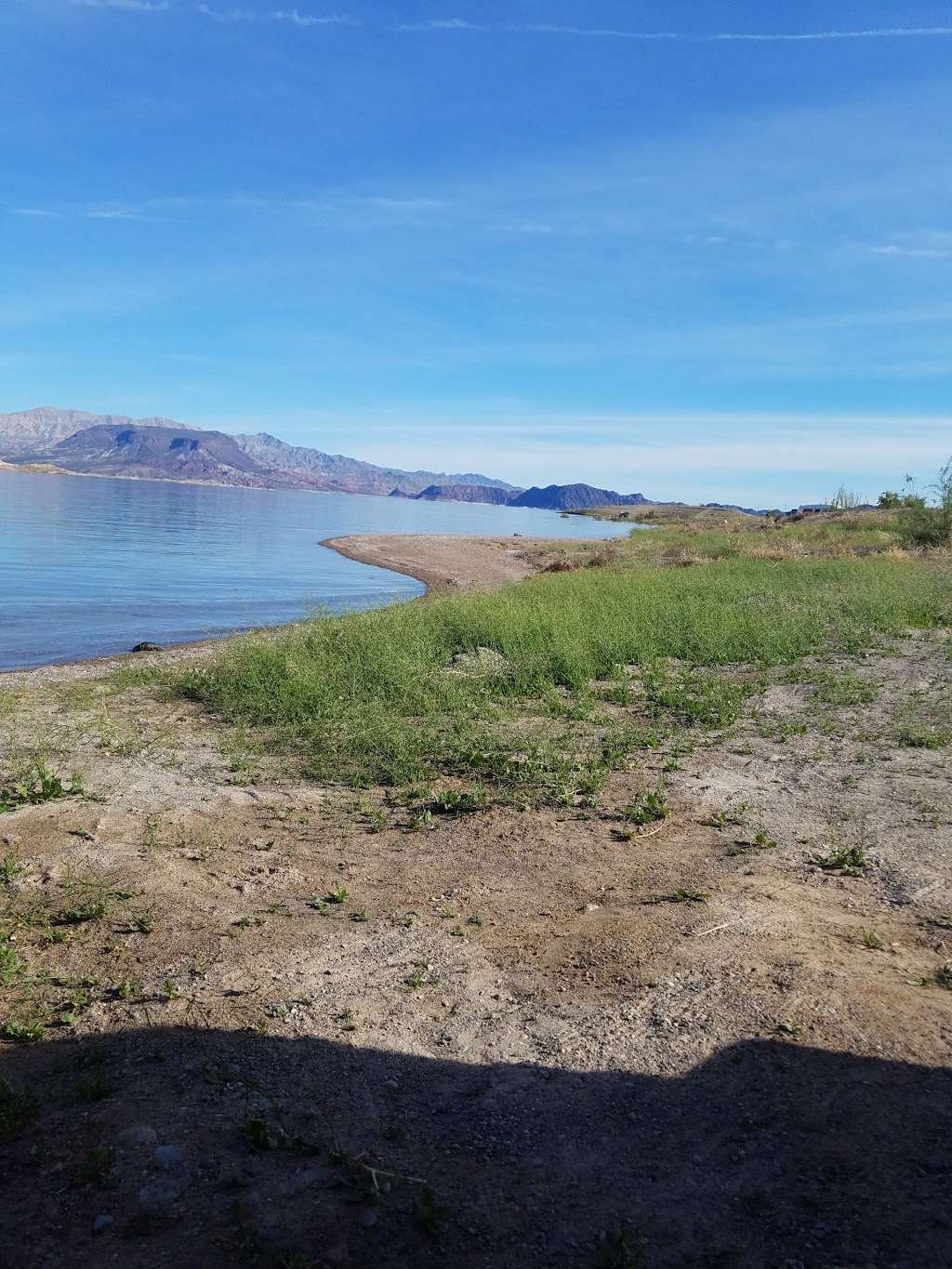 Andersons "Children of the Sun" Sunbathing Park | Boulder City, NV 89005, USA